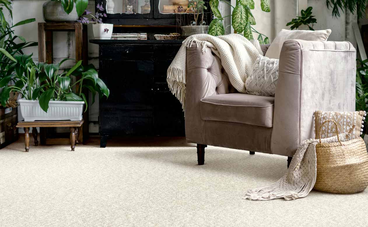 Sitting area with a brown velvet accent chair and cream carpet